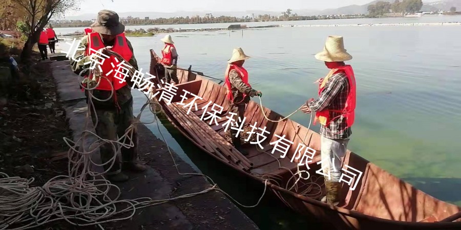 武汉东湖降磷治理